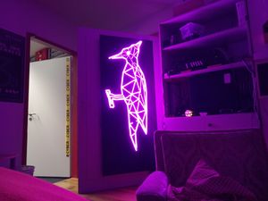 Der Specht an der Chillraumtür