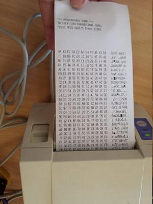 CBM 1000 im Hexdumpmodus