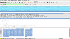 Beispiel-Paket in Wireshark
