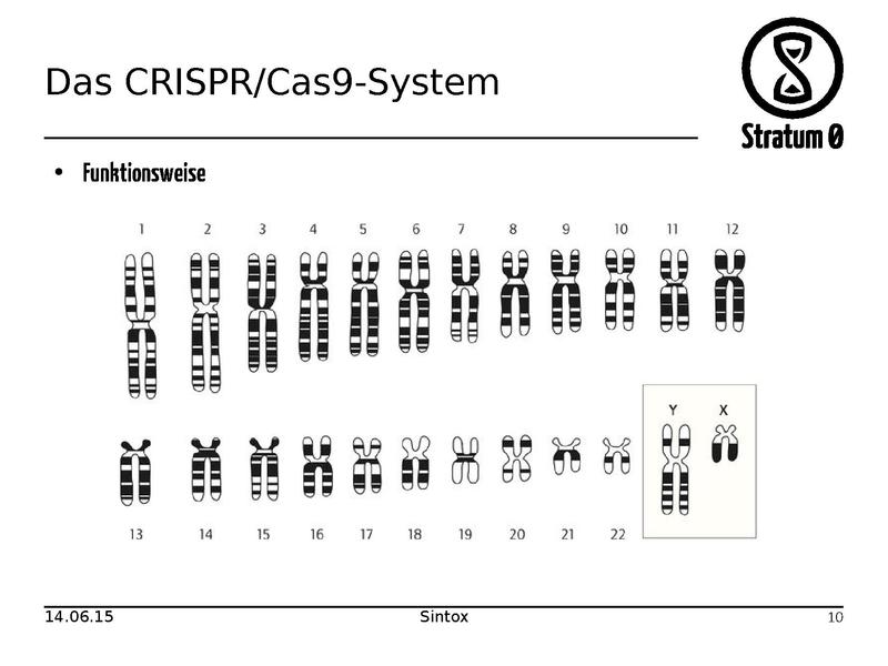 Datei:CRISPR Cas9 Vortrag.pdf