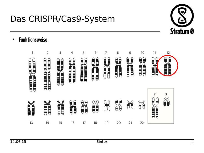 Datei:CRISPR Cas9 Vortrag.pdf