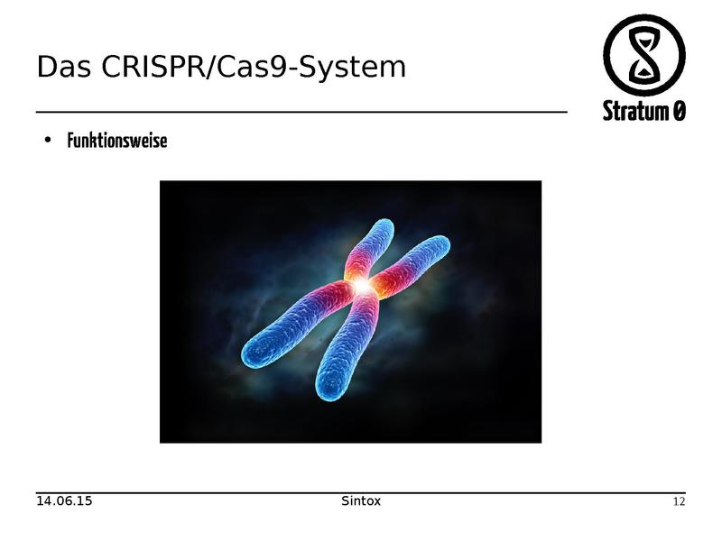 Datei:CRISPR Cas9 Vortrag.pdf