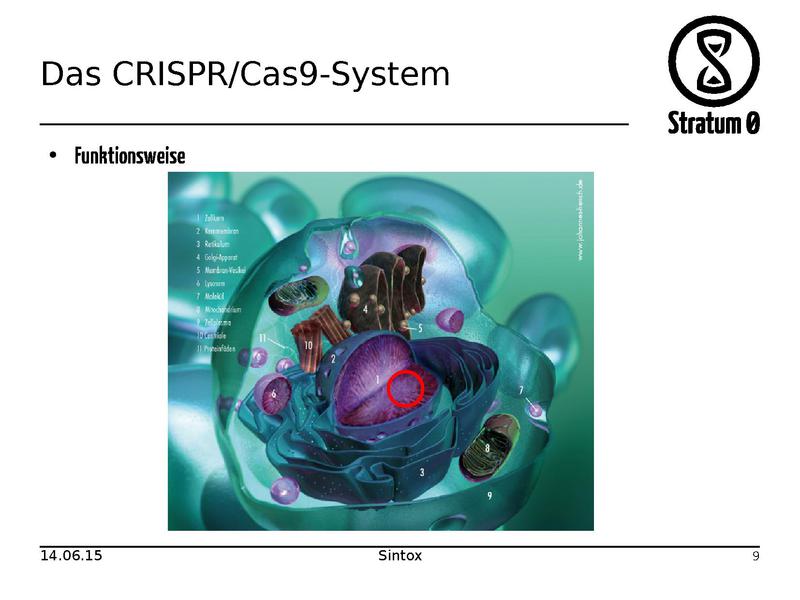 Datei:CRISPR Cas9 Vortrag.pdf