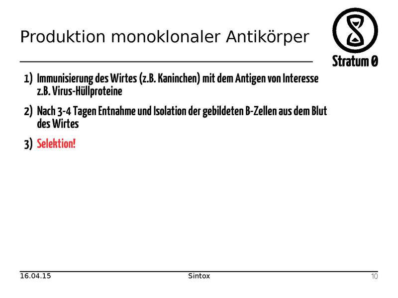 Datei:Antikoerper Talk Sintox.pdf