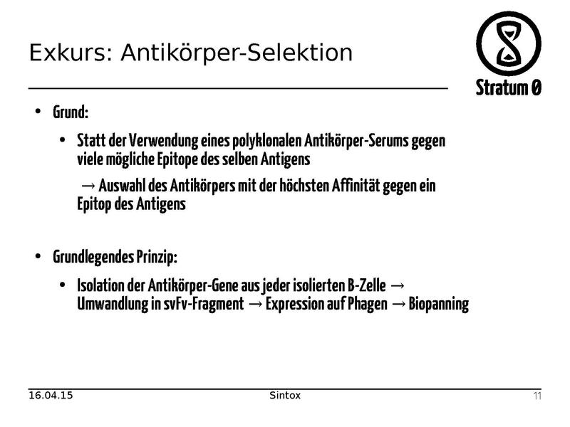 Datei:Antikoerper Talk Sintox.pdf