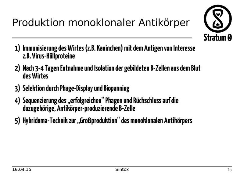 Datei:Antikoerper Talk Sintox.pdf